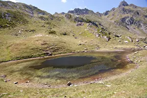 Mare Prints: Filamentous algae in a shallow pond near the Bersau Lake partly visible in the background