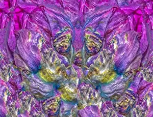 Bedding Prints: Fine art floral colorful background abstract pattern created from a parrot tulip blossom in bright pop-art colors