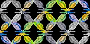 Colorized Prints: Fine art still life bright colorful abstract pattern made from macros of a single isolated yellow green blue gray