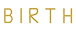 Fine art still life color image of the word birth constructed from floral/flower letter made of sunflower blossom