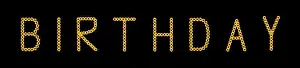 Fine art still life color image of the word birthday constructed from floral/flower letter made of sunflower blossom