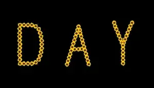 Graphical Element Prints: Fine art still life color image of the word day constructed from floral/flower characters/letters made of rose blossom
