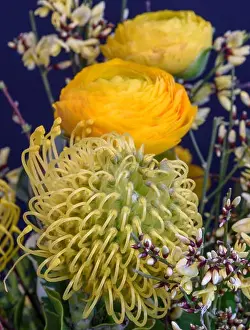 Buttercup Prints: Fine art still life natural floral color close up of a flower bouquet with buttercups and proteas