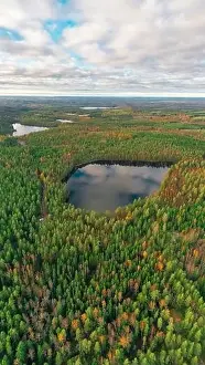 Finland landscape from the air with drone, lake and pine forest, panorama, autumn day. High quality photo