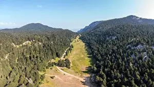 Fir forest landscape, Mountain background aerial drone view. Fire protection zone, no trees area and dirt road