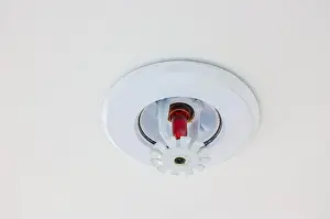 Fire sprinkler mounted under a white ceiling