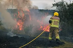 Flames Prints: Firefighters dealing with a gorse fire in Amlwch