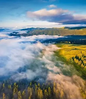 First sunlight glowing mountain forest