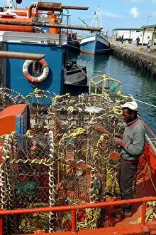 Lobster Prints: Fish Hoek Harbour Western Cape South Africa Fisherman Mends Nets