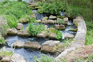 Fishes Prints: A fish ladder near the weir of River Diemel