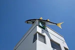 Mullet Prints: Fish sculpture by artist Colin Suggett on the rooftop of the Fish Creek Hotel