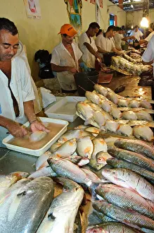 Amazonas Prints: Fish vendors, Mercado Adolfo Lisboa, Manaus, Amazonas, Brazil, South America
