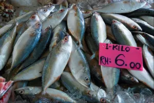 Malaysian Prints: Fish in the wet market in Kuching Sarawak