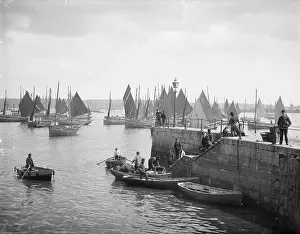 Cornwall Prints: Fishermen unload their catches
