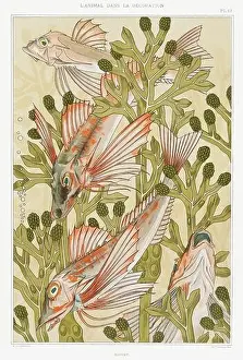Public Domain Prints: Fishes / Illustration from L'animal dans la decoration (1897) by Maurice Pillard Verneuil