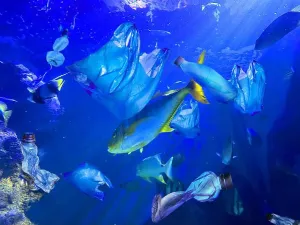 Plastic Pollution Prints: Fishes swimming among plastic garbage in sea. Environmental pollution