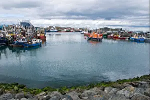 Watercraft Prints: Fishing boats and lifeboat, Harbour of Howth Peninsula, Dublin Ireland, August 2006
