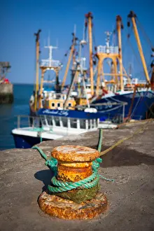 Ropes Prints: Fishing boats tied up in Kilmore Quay, Wexford, Ireland