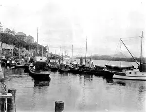 Fishing fleet Ketchikan Alaska June 29 1911 (COBB 20)