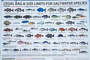 Regulations Prints: Fishing Guide Clyde River Batemans Bay Southern New South Wales Australia