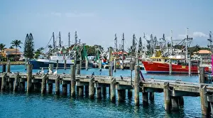 Sunshine Coast Prints: fishing vessels at Mooloolaba Harbour in the Mooloolah River