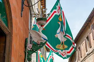 Goose Prints: Flags of the Oca (Goose) district in the medieval city of Siena