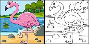 Flamingo Prints: Flamingo Coloring Page Vector Illustration