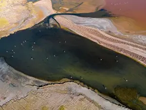 Flamingos in the colorful Laguna Carachi Pampa in the deserted highlands of northern Argentina - traveling