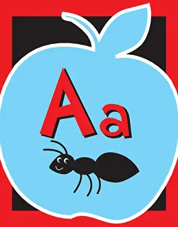 Teal Prints: Flash Card Letter A nouns. See whole alphabet in my series!