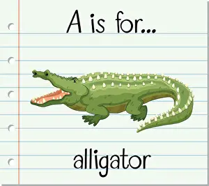 Alligator Prints: Flashcard letter A is for alligator