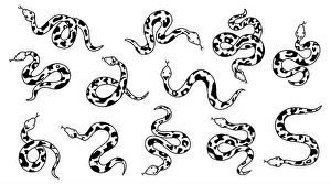Snake Prints: flat design snake silhouette collection
