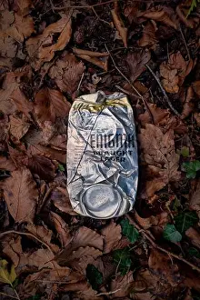 Litter Prints: flattened beer can of Enigma Dreaught Lager on a pile of dead leaves