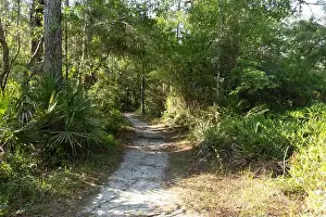 Hours Prints: Flatwoods Conservation Park City of Tampa Hillsboro County Florida Recreation