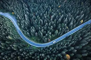 Top Down Prints: Flight over the autumn mountains with road serpentine and pine forest