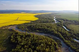 Flight through majestic river Dnister, lush green forest and blooming yellow rapeseed fields at sunset time. Ukraine, Europe. Landscape photography