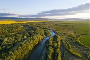 Flight through majestic river Dnister, lush green forest and blooming yellow rapeseed fields at sunset time. Ukraine, Europe. Landscape photography