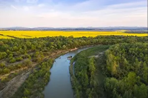 Flight through majestic river Dnister, lush green forest and blooming yellow rapeseed fields at sunset time. Ukraine, Europe. Landscape photography