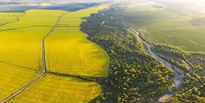 Flight through majestic river, lush green forest and blooming yellow rapeseed fields at sunset time. Landscape photography