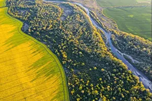 Flight through majestic river, lush green forest and blooming yellow rapeseed fields at sunset time. Landscape photography
