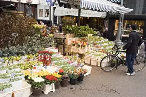 Lilies Prints: Floating Flower Market on the Singel canal in Amsterdam
