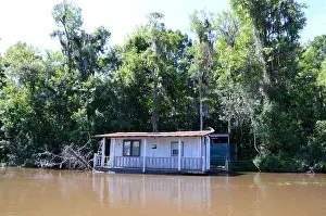 Alligator Prints: floating house swamp louisiana pearl river bayou new orleans