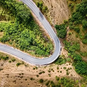 Domestic Animals Prints: Flock of sheep walking alongside a mountain road along with their shepherd