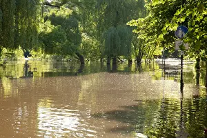 Watermark Prints: flood of river Saale in Halle, Emil-Eichhorn-Strasse