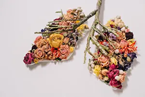 Twigs Prints: floral composition with dried flowers and twigs in shape of lungs on grey