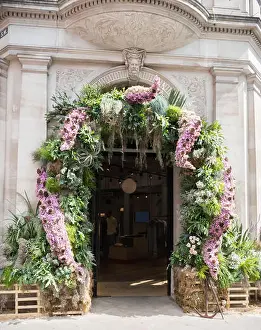 Chelsea Prints: Floral displays on shop fronts for Chelsea in Bloom, London, UK