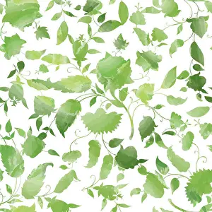 Illustrate Prints: Floral seamless pattern. Flower watercolor background