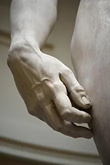 Firenze Prints: Florence. Italy. Michelangelo's statue of David (1501-1504)