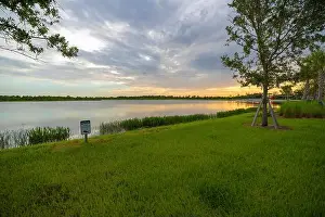 Lakeshore Prints: Florida evening nature. Wetland lake at sunset