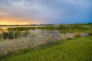 Lakeshore Prints: Florida lake nature at sunset. Recreational wildlife area in Wellen park in Venice
