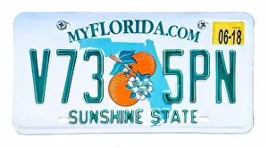 Number Plate Prints: Florida license plate; vehicle registration number. Florida Sunshine State number plate